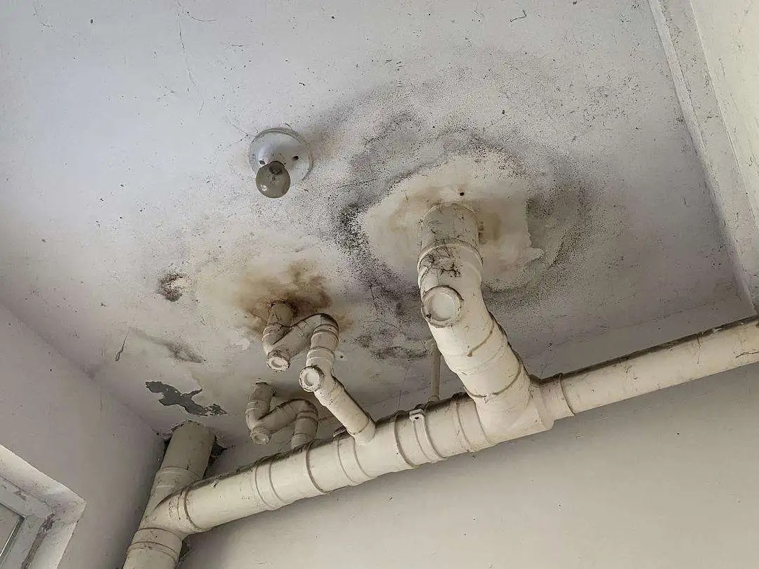 衛(wèi)生間漏水反復(fù)修不好？一文教你徹底根治！